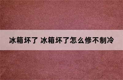 冰箱坏了 冰箱坏了怎么修不制冷